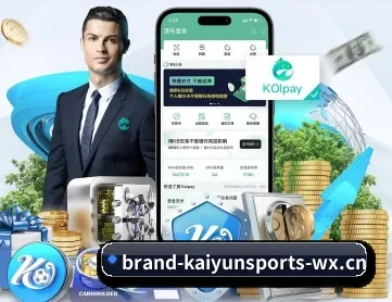 开云体育 APP 深度功能 | KAIYUN